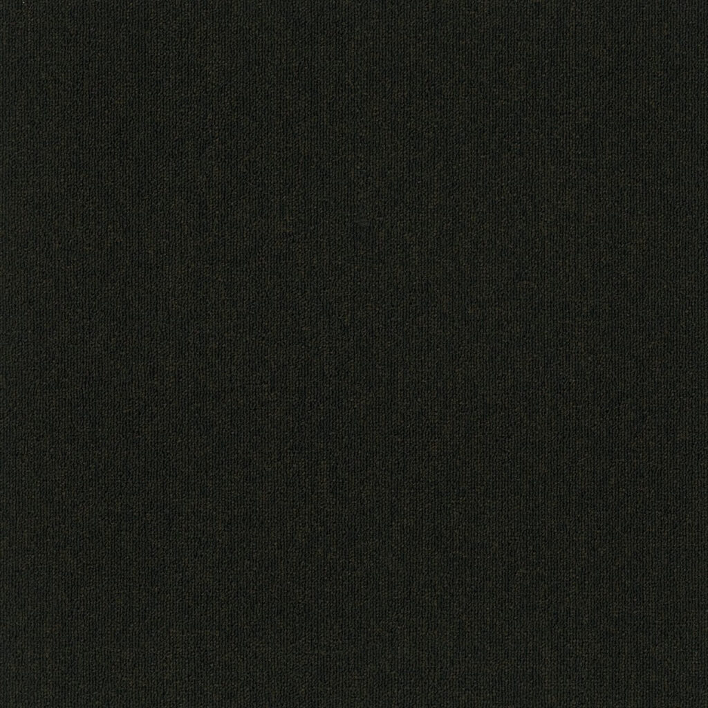 Black carpet