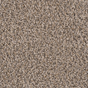 Briar Patch Carpet 2