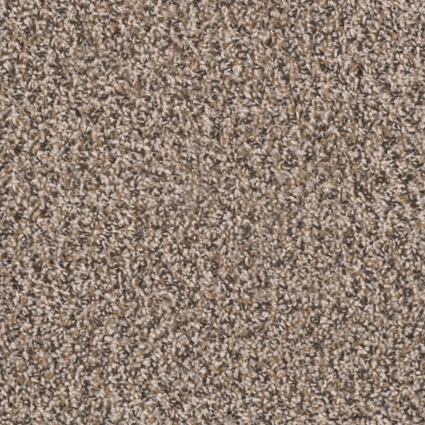 Briar Patch Carpet