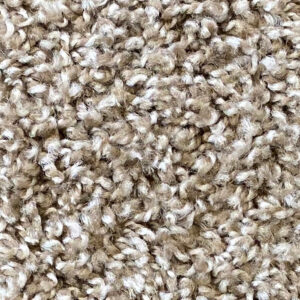 Seashell Carpet