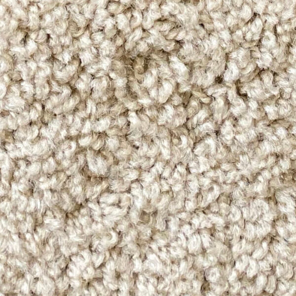 Cozy Cream Carpet