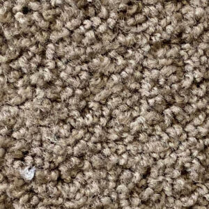 Walnut Carpet