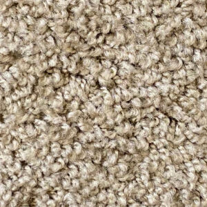 Hazelnut Carpet