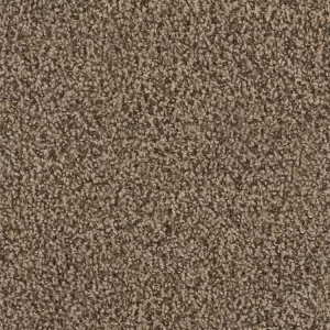 Pecan Carpet