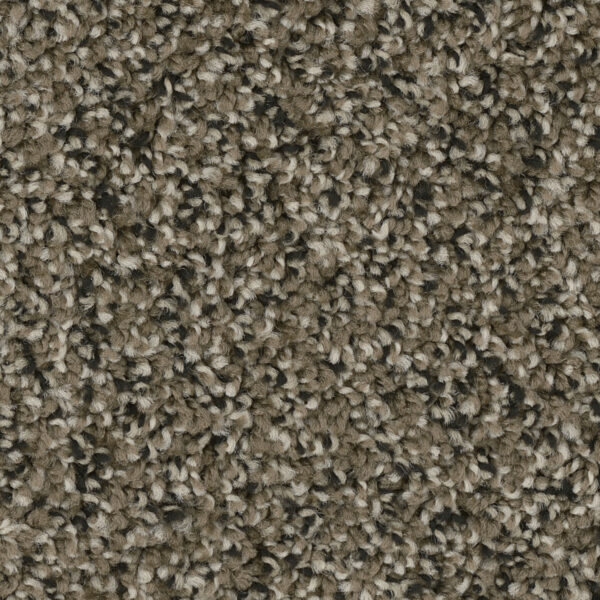 Art District Carpet