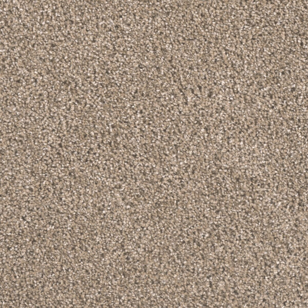Mesa Carpet