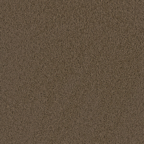 Desert Carpet