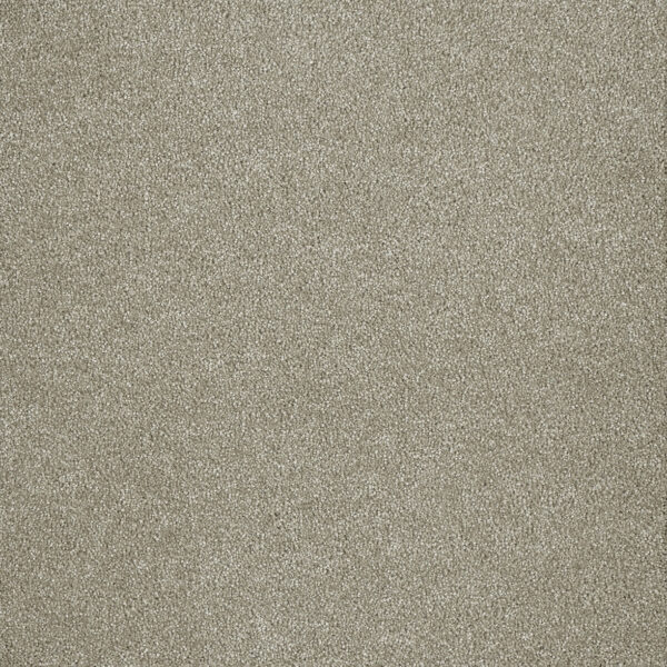 Canvas Carpet