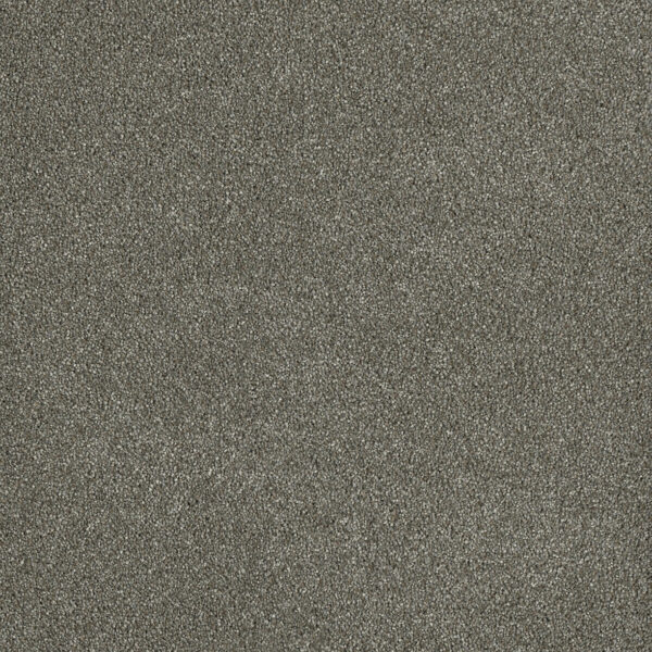 Cappuccino Carpet