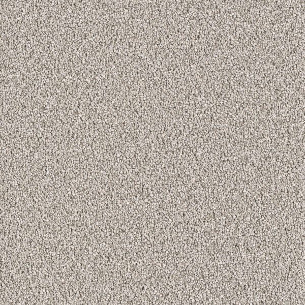 Dynasty Carpet