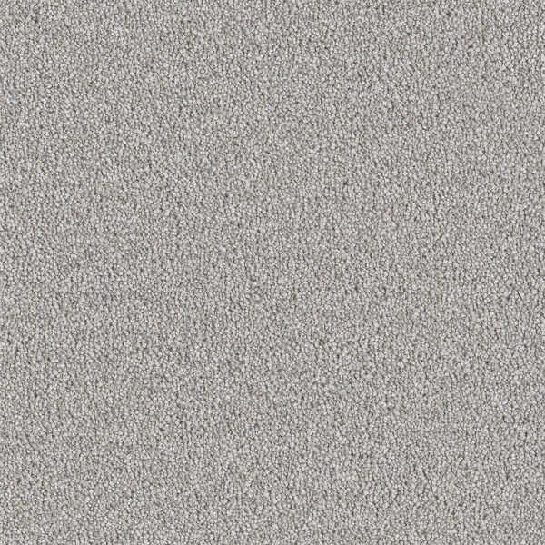 Steel Carpet