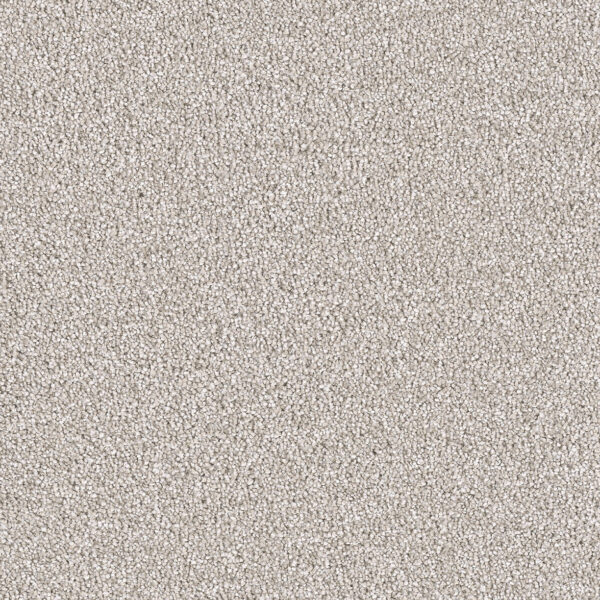 Moon Dust Carpet