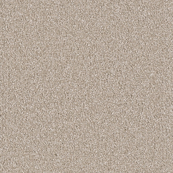 Pine Cone Carpet