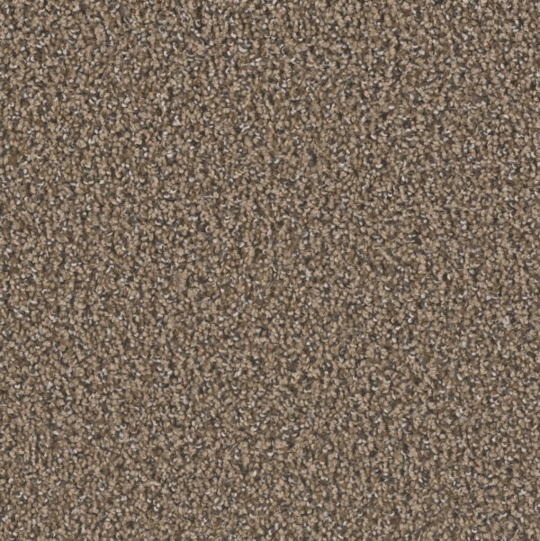 Cork Board Carpet