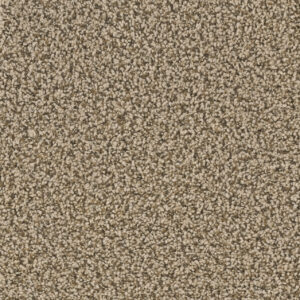 Wheat Carpet