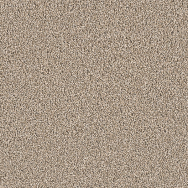 Wood Grain Carpet