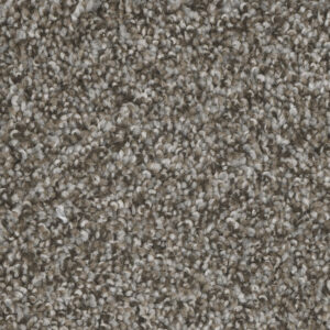 Graphite Carpet
