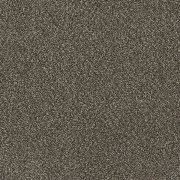 Grey Flannel Carpet