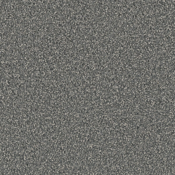 Hillsborough Carpet