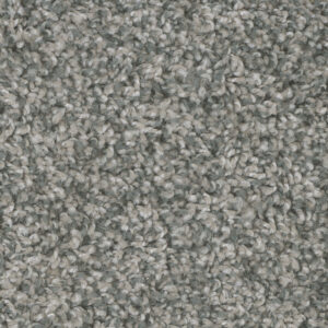 Stainless Steel Carpet