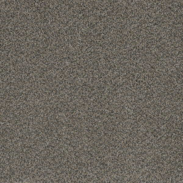 Stone Carpet