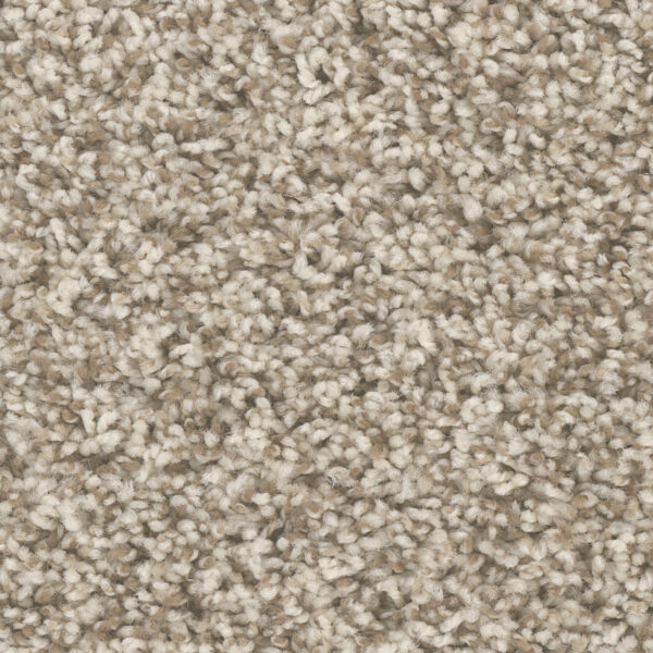 Stone House Carpet