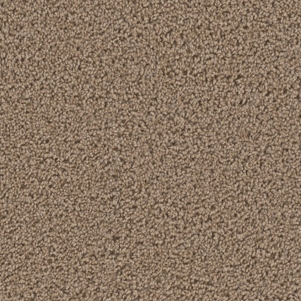 Bermuda Carpet