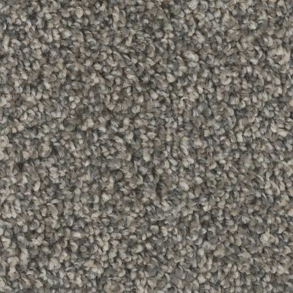 Ocean Plaza Carpet