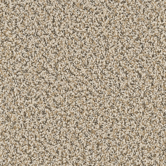 Beach Front Carpet
