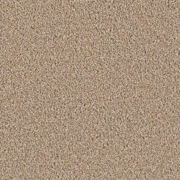 Natural Carpet