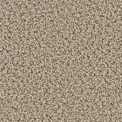 Pebble Path Carpet