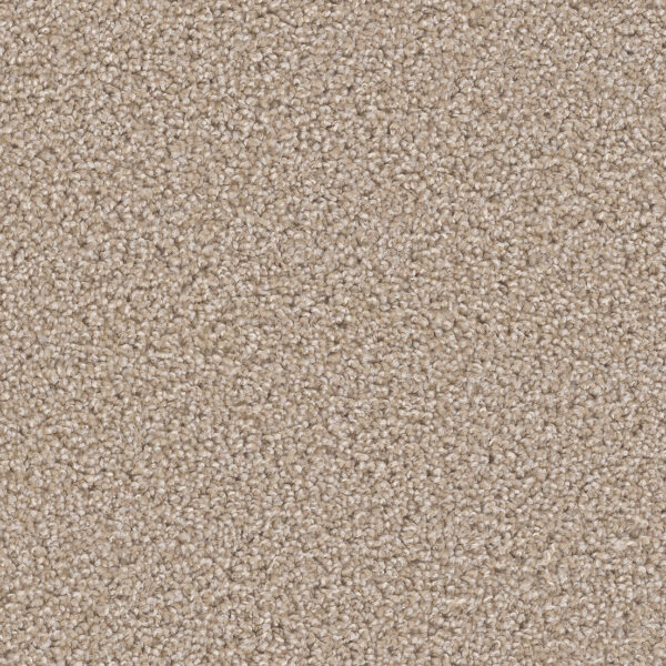 Pine Cone Carpet