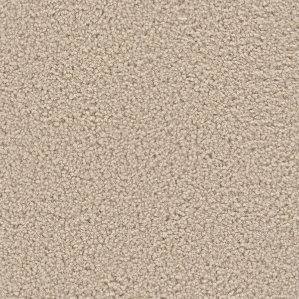 Sand Swept Carpet