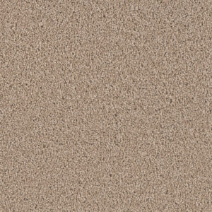 Sandy Shore Carpet