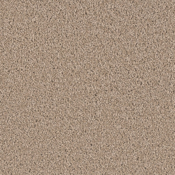 Sandy Shore Carpet