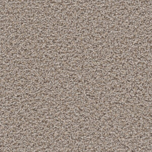 Sepia Carpet
