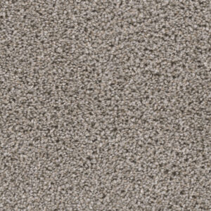 Sharkfin Carpet