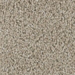 Tawny Taupe Carpet