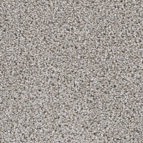 Vanilla Carpet