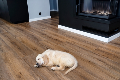 Benefits of LVP Flooring - Pet-friendly, Affordable, Durable are a Few Benefits at World of Floors