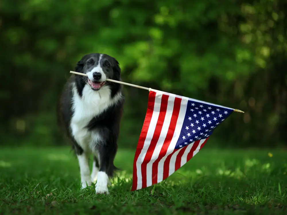 Vinyl Plank Flooring from World Of Floors